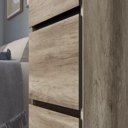 Пенал "Энигма" ПН-03 (дуб каньон/венге)