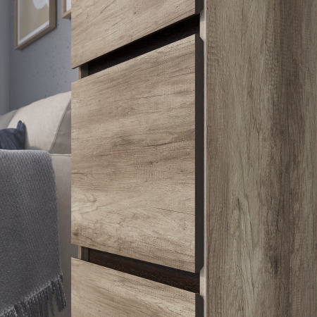 Пенал "Энигма" ПН-03 (дуб каньон/венге)