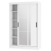 Шкаф-купе "Тайм" ШКК-03 NEW (Белый)